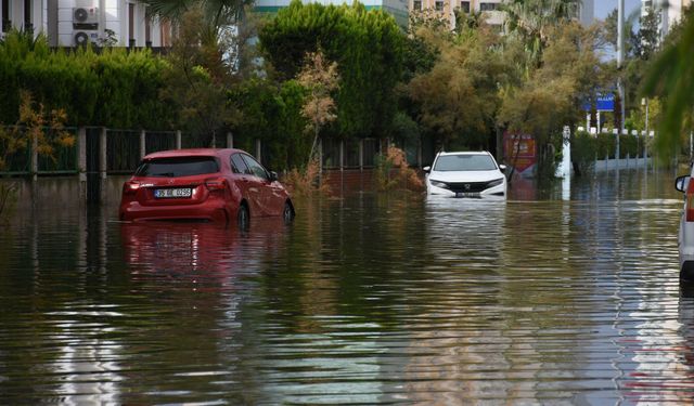 Orman yangınlarının faturası ağır oldu: İzmir’de sel riski kış boyu sürecek