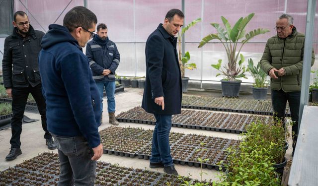 Bornova kendi yeşilini kendi yetiştiriyor