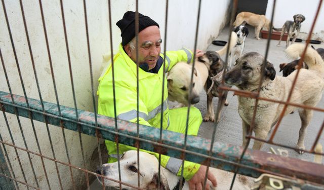 Foça’da can dostlar için şeffaflık dönemi