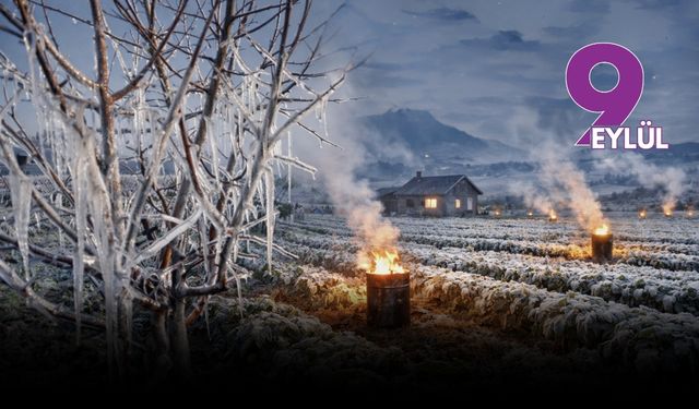 İzmir'de termometreler eksiyi görecek: Meteoroloji’den üreticiye acil ‘zirai don’ uyarısı
