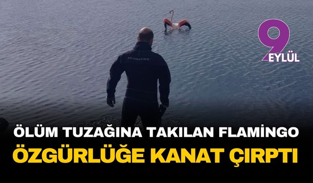 Ölüm tuzağına takılan flamingo özgürlüğüne kanat çırptı
