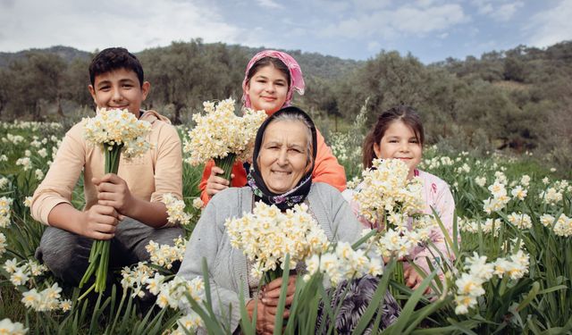 Bayındır’ın havası değişiyor: Turan Mahallesi nergis kokularıyla şenlenmeye hazırlanıyor