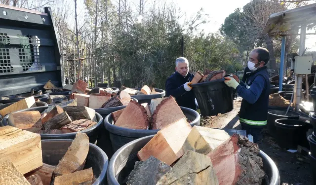 Konak’ta kış dayanışması büyüyor: Budanan ağaçlar 250 ailenin yuvasını ısıttı