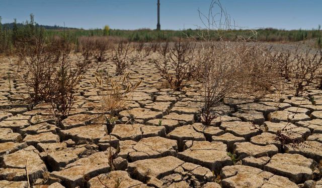 İzmir ve Ege’de kuraklık kâbusu: Yer altı suları tuzlanıyor, barajlar alarm veriyor