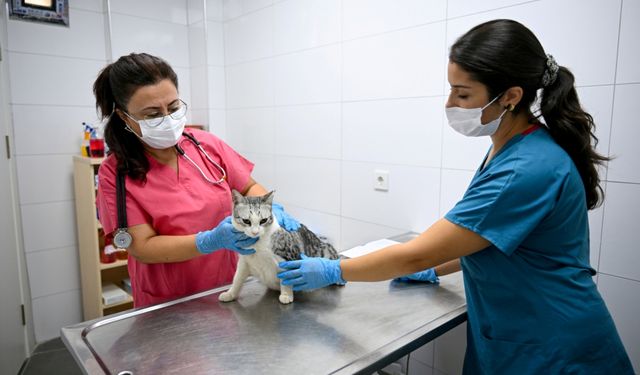 Vahşete inat yaşatmayı seçtiler: Bornova’da Eros’un adını taşıyan merkez şifa dağıtıyor