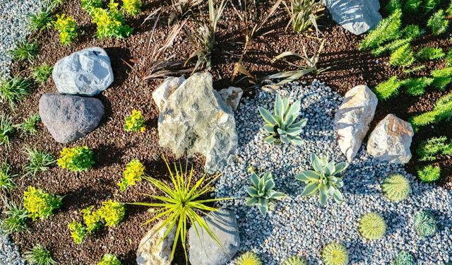 Peyzaj çalışmaları sanat eserine dönüşüyor