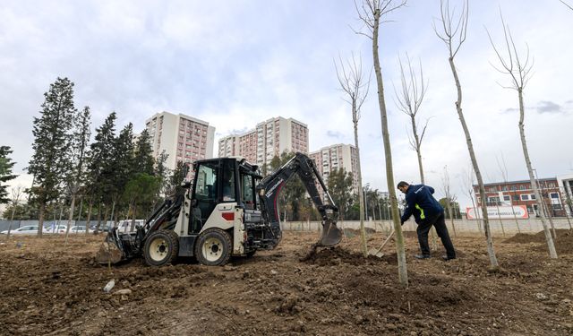 Betonun arasından orman çıktı