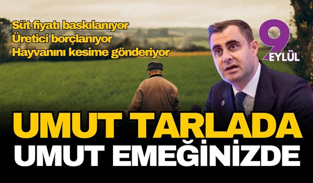 Ödemiş’te üreticinin isyanı: Maliyetler bel büküyor inekler kesime gidiyor