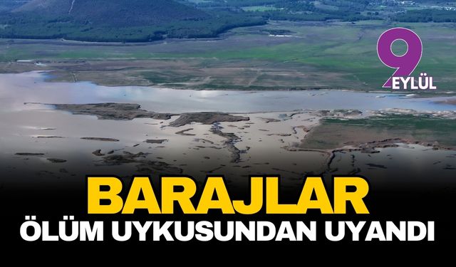 İzmir'de barajlar ölüm uykusundan uyandı