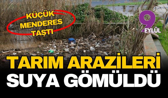 Küçük Menderes taştı, binlerce dönüm arazi sulara gömüldü