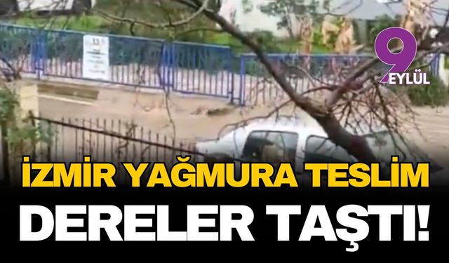 İzmir yağmura teslim! Dereler taştı