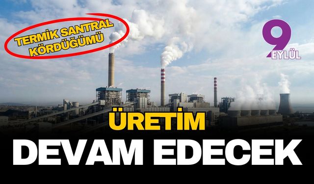 İzdemir termik santrali kördüğümünde yargı son sözü söyledi: Üretime tam gaz devam