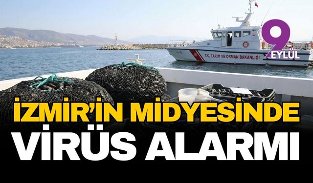 İzmir'in midyesinde 'virüs' alarmı