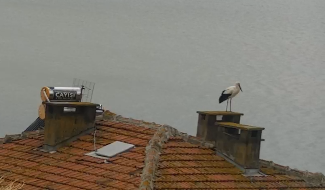 Yaren Leylek ile Adem Amca 15. kez yine buluştu