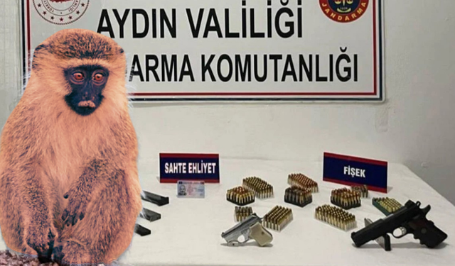 Kaçakçılık operasyonu: Evden tabanca, mermi ve maymun çıktı