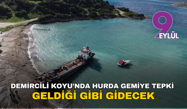 Demircili Ada Koyu’nda hurda gemiye tepki: Geldiği gibi gidecek