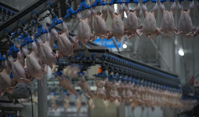 Lezita, deprem bölgesinde 130 milyon avroluk yatırımla piliç ekosistemi kuracak