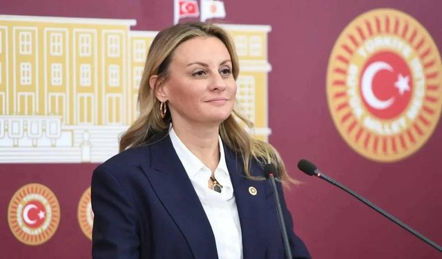 CHP'li Ösen'den Efes tepkisi: Dünya mirası SİT alanında inşaat kabul edilemez