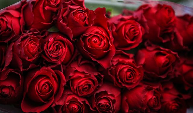 Bir Çiçek Yetmez mi? Çiftler İkiye Bölündü