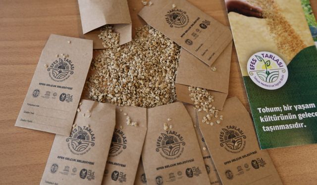 Efes Selçuk'un ata tohumları Türkiye'nin dört bir yanında toprakla buluşuyor