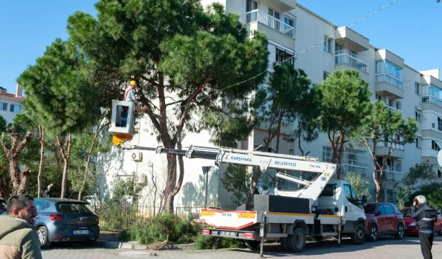Karşıyaka’da budama seferberliği: Bahar öncesi yeşil alarm