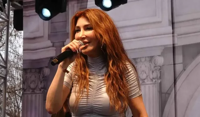 Hande Yener'e 'konser' soruşturması!