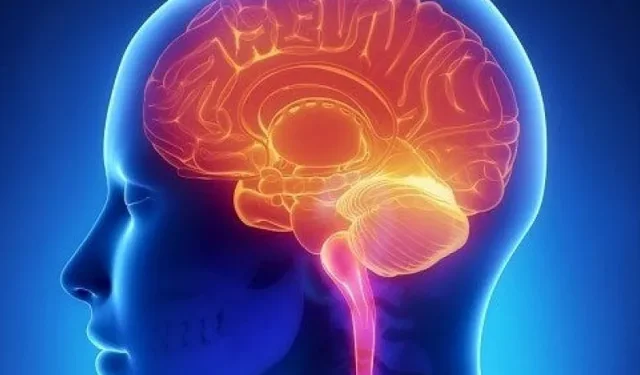 Ünlü yapımcı Erol Köse’nin vefatı ALS hastalığını gündeme taşıdı: Kesin tedavi henüz yok