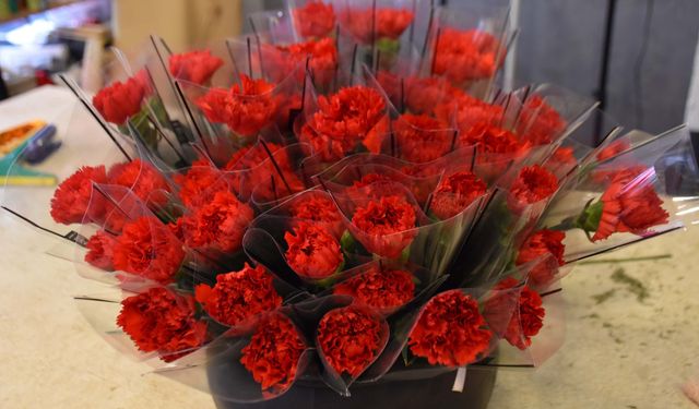 '8 Mart'ta kırmızı karanfil yoğun talep görüyor'