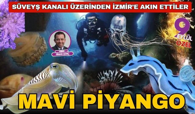 Süveyş Kanalı üzerinde İzmir'e akın ettiler