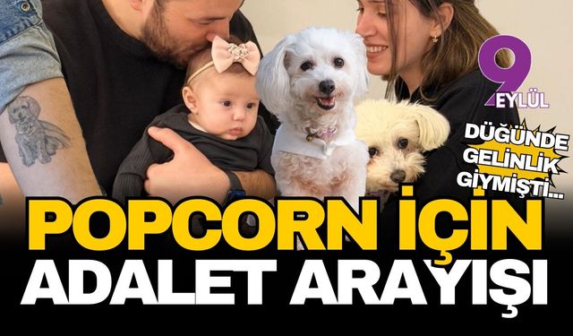 Düğünde gelinlik giydirdikleri can dostları Popcorn için adalet arıyorlar