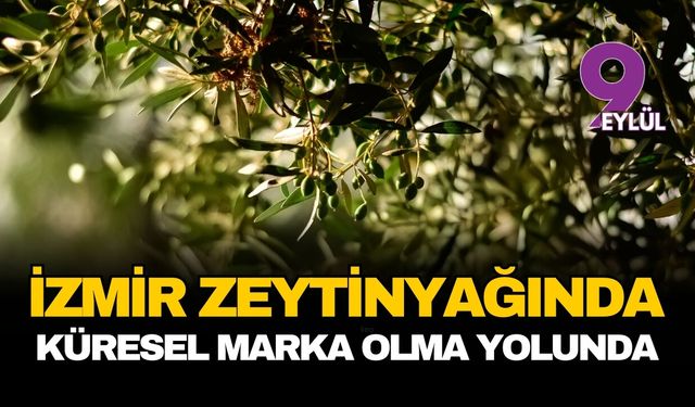 Gemini şunu dedi: İzmir zeytinyağında küresel marka olma yolunda