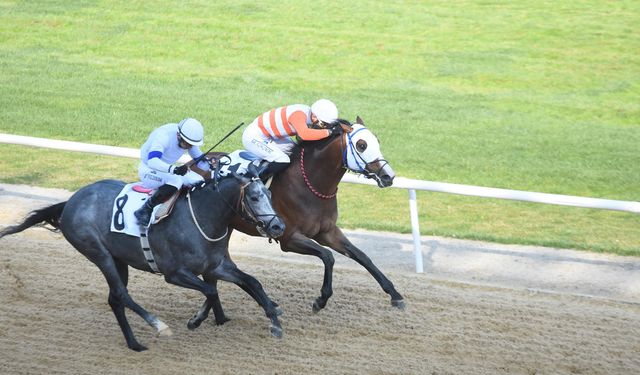 Ege Derbisi’nin kazananı The Protecter