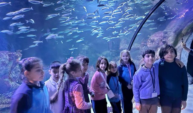 İzmirli öğrenciler deniz ekosistemini akvaryumda keşfetti