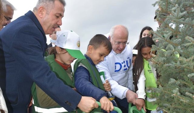 İzmir’de yanan alanlar yeniden yeşeriyor