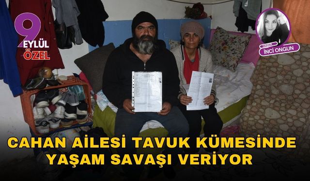 Cahan Ailesi Tavuk Kümesinde Yaşam Savaşı Veriyor
