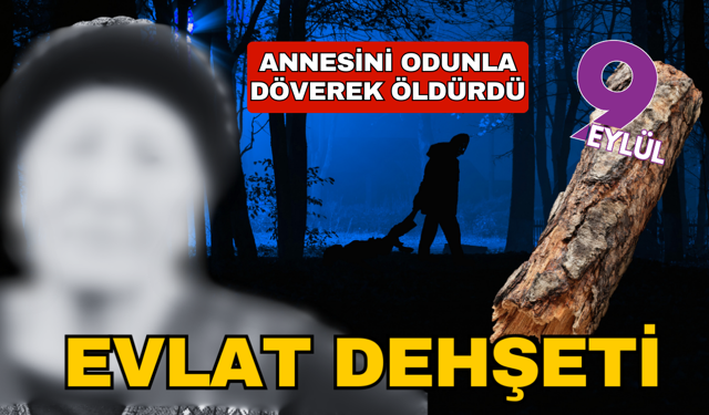 Aydın'da annesini odunla öldürdüğü iddia edilen kişi tutuklandı