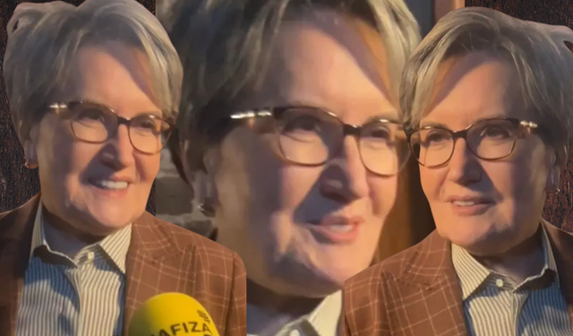 Meral Akşener siyasete dönecek mi?