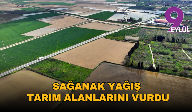 İzmir’de sağanak yağış tarım alanlarını vurdu