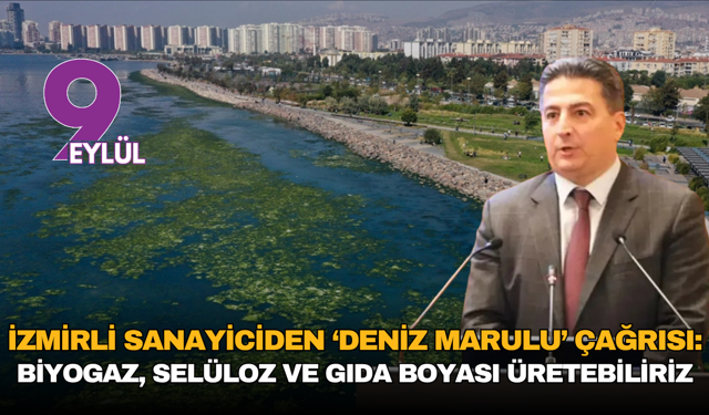 İzmirli Sanayiciden ‘Deniz Marulu’ çağrısı: Biyogaz, selüloz ve gıda boyası üretebiliriz