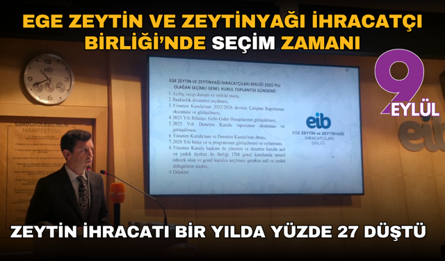"Zeytin ihracatı bir yılda yüzde 27 düştü"