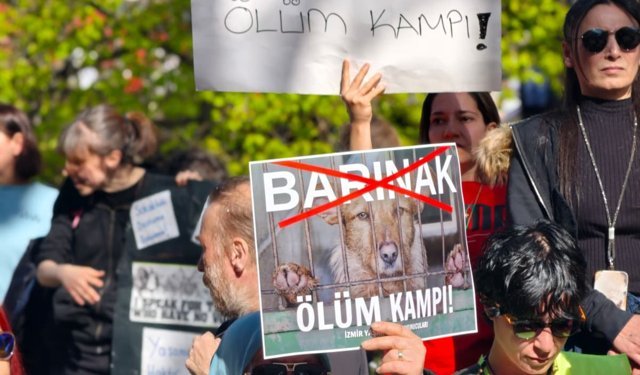 Hayvanseverlerden barınaklara karşı protesto