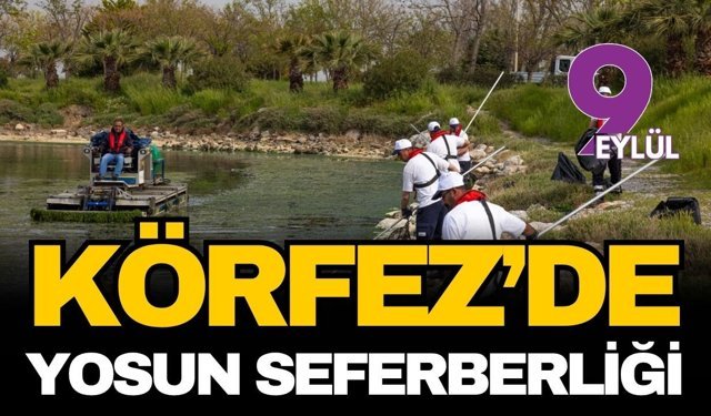 Körfez’de yosun seferberliği