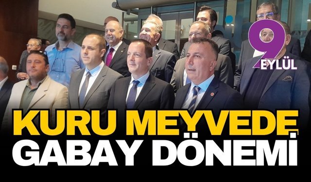 Kuru meyvede Gabay dönemi