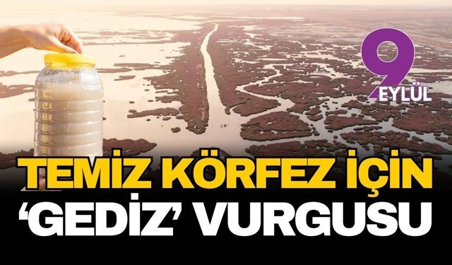 Körfez'de marul alarmı! Bilim insanları "Gediz" için uyarıyor