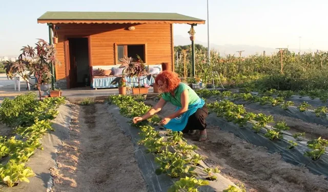 Hobi bahçeleri ile ilgili önemli karar! Tarım arazilerine yönelik düzenleme