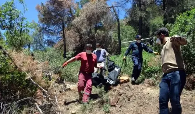 Ormandaki ceset ile ilgili önemli gelişme