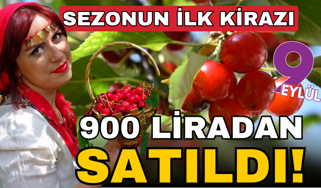 Kirazda ihracat sezonu başladı: Fiyatı 900 TL’ye fırladı