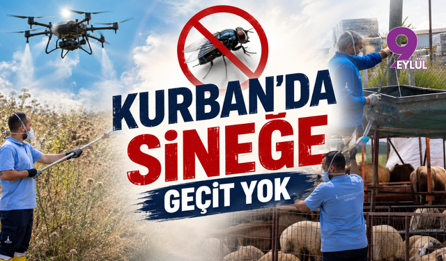 Kurban'da Sineğe Geçit Yok