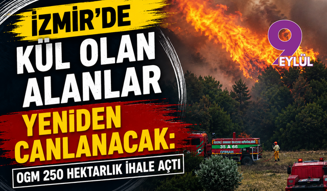 İzmir’de kül olan alanlar yeniden canlanacak: OGM 250 hektarlık ihale açtı