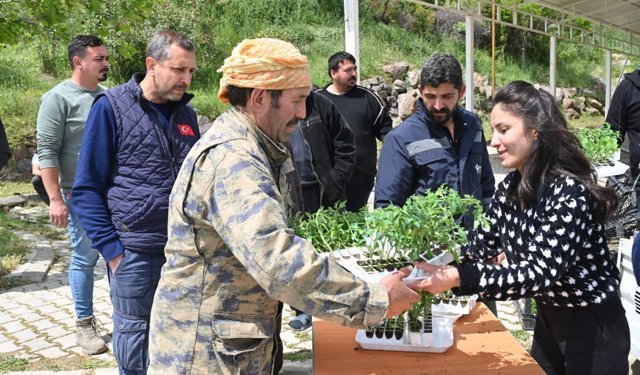 Bornova’dan tarlalara destek hamlesi: 150 bin fide üreticiyle buluştu